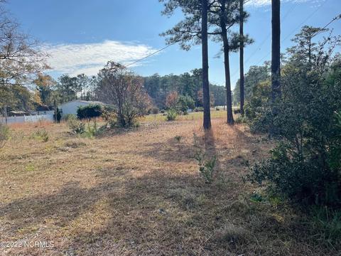 842 Pigott Rd, Gloucester, NC 28528 photo 7