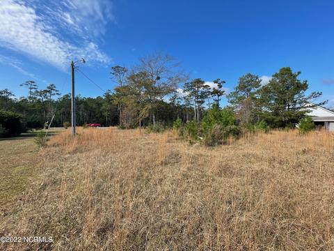 842 Pigott Rd, Gloucester, NC 28528 photo 4
