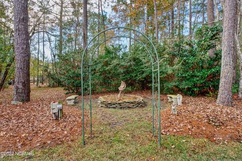 748 Royal Tern Dr, Hampstead, NC 28443 photo 48