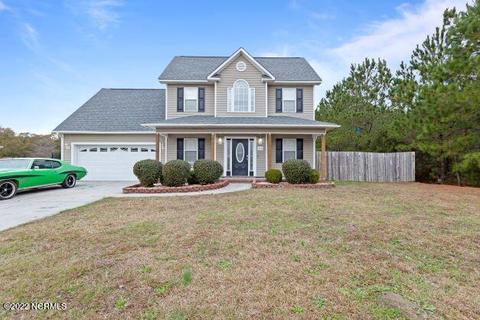 310 Trappers Rd, Hubert, NC 28539 photo 1