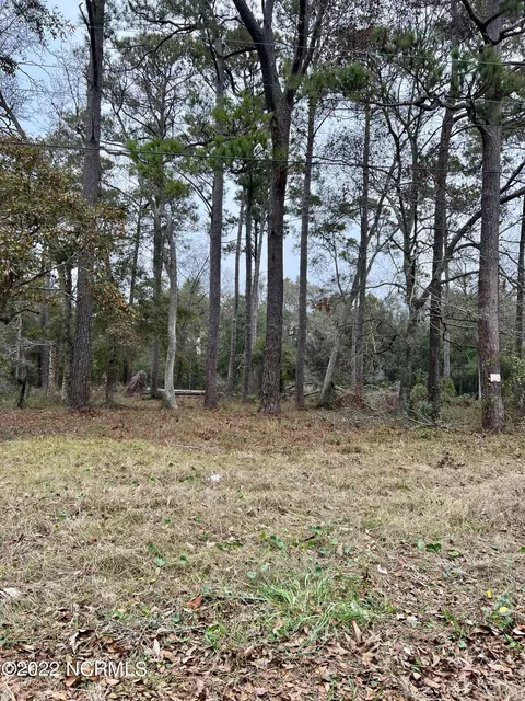 4 90 Acres, Ocean Isle Beach, NC 28469