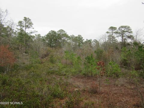 Off Island Road, White Oak, NC 28399