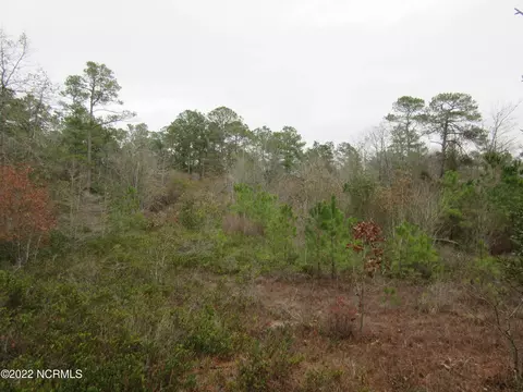 Off Island Road, White Oak, NC 28399