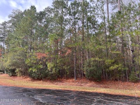 59 Marina Ct, Oriental, NC 28571