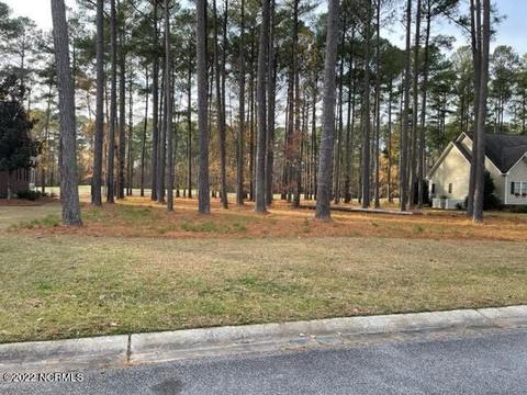 120 Thames Ln, Chocowinity, NC 27817 photo 3