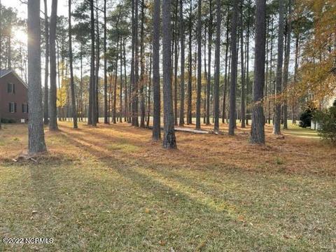 120 Thames Ln, Chocowinity, NC 27817 photo 1