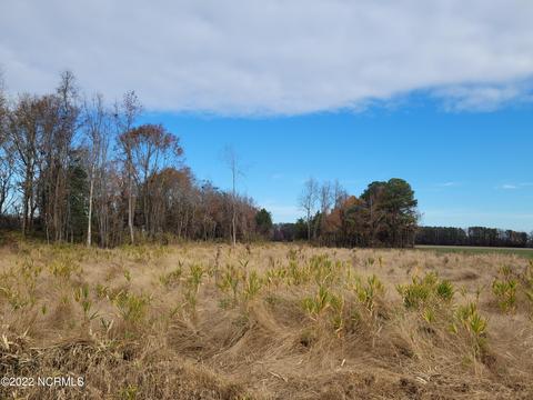 tbd Poplar Nck, Tyner, NC 27980