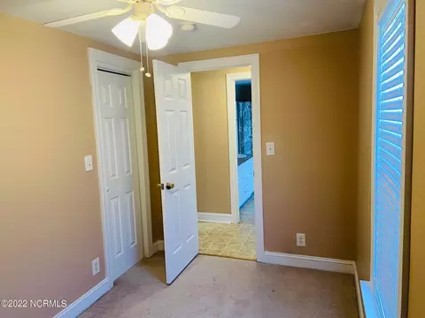 3982 Mark N Smith Rd, Deep Run, NC 28525 photo 13