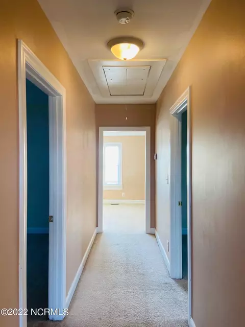 3982 Mark N Smith Rd, Deep Run, NC 28525 photo 19