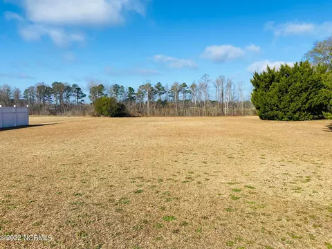 3982 Mark N Smith Rd, Deep Run, NC 28525 photo 28