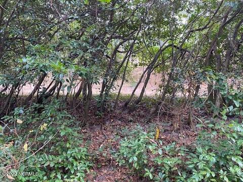 104 Stone Throw Ln, Wilmington, NC 28411