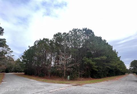 5205 Deerfield Ln, Oriental, NC 28571