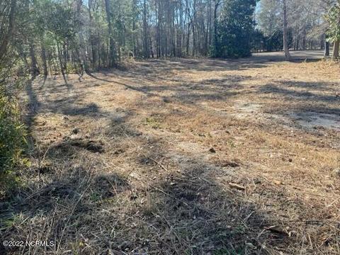 10402 Chestnut Ridge Rd, Bailey, NC 27807 photo 2