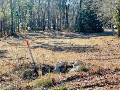10402 Chestnut Ridge Rd, Bailey, NC 27807 photo 1