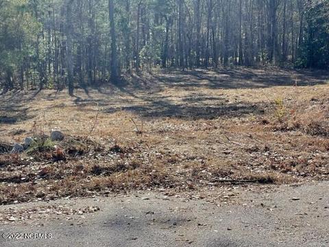10402 Chestnut Ridge Rd, Bailey, NC 27807 photo 3