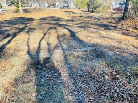 10402 Chestnut Ridge Rd, Bailey, NC 27807 photo 4
