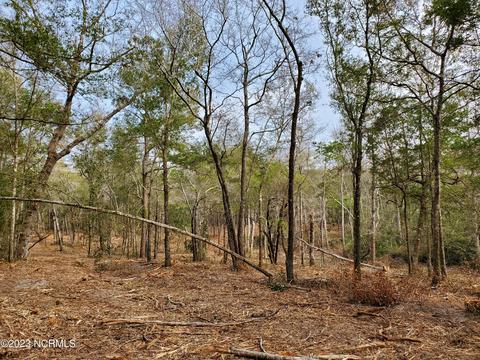 0 Halls Pt, Sneads Ferry, NC 28460