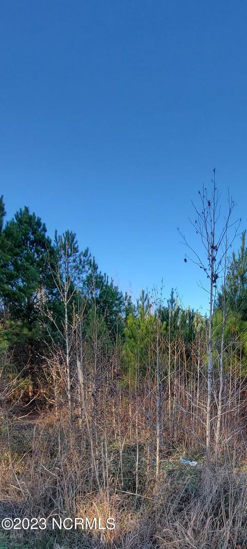 3 Nc 87 Hwy Hwy E, Riegelwood, NC 28456