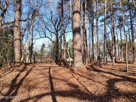 8 Old Bath Hwy Hwy, Washington, NC 27889