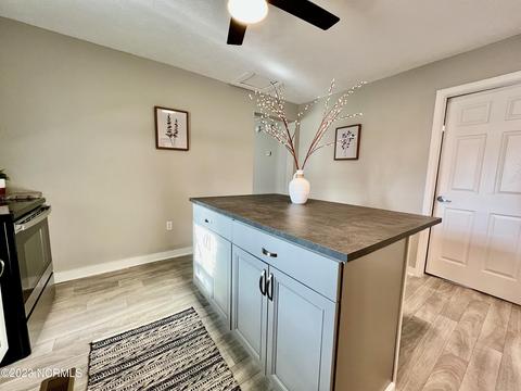 175 Daniels St, Hamlet, NC 28345 photo 6