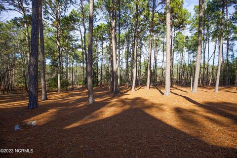 81 Stoneykirk Dr, Pinehurst, NC 28374 photo 64