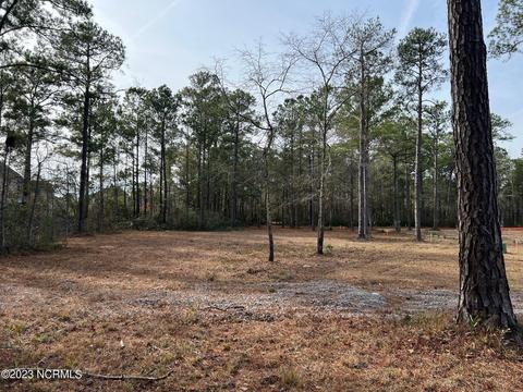 7258 Saddleworth Trl, Wilmington, NC 28405