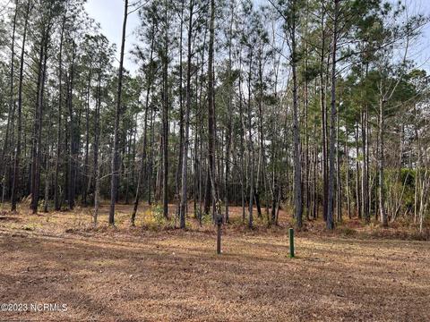 7206 Saddleworth Trl, Wilmington, NC 28405