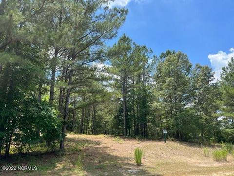 183 Trailcrest Dr, West End, NC 27376