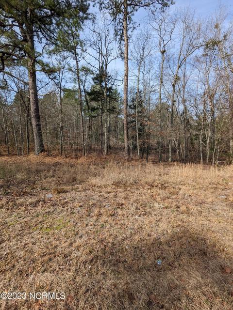 2 Carthage Rd, West End, NC 27376