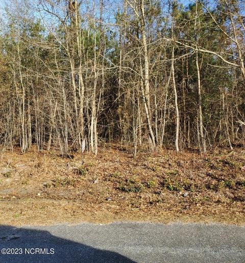APT 13 Jamestown Drive, Laurinburg, NC 28352