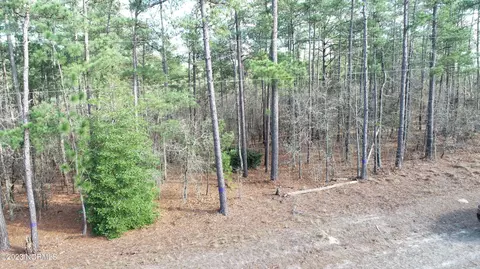 lot2 Flowers Rd, Jackson Springs, NC 27281