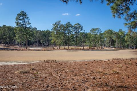 320 Inverrary Rd, Pinehurst, NC 28374 photo 14