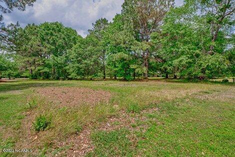 120 October Glory Dr, Wallace, NC 28466 photo 6