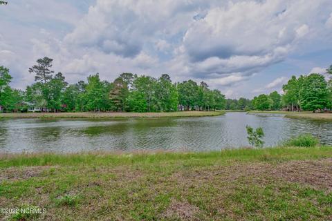 120 October Glory Dr, Wallace, NC 28466 photo 7