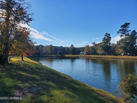 120 October Glory Dr, Wallace, NC 28466 photo 11