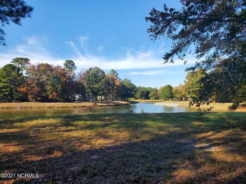 120 October Glory Dr, Wallace, NC 28466 photo 8