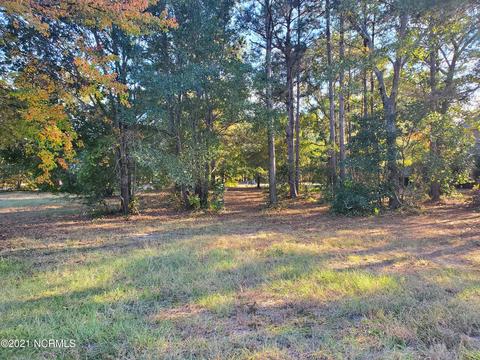 120 October Glory Dr, Wallace, NC 28466 photo 12