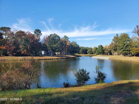 120 October Glory Dr, Wallace, NC 28466 photo 10