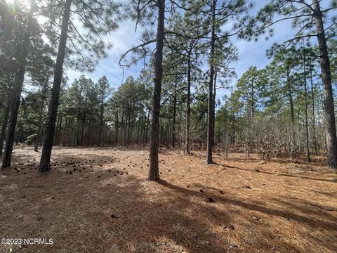 113 Brookfield Dr, Pinehurst, NC 28374 photo 18