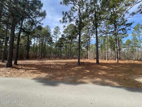 113 Brookfield Dr, Pinehurst, NC 28374 photo 14
