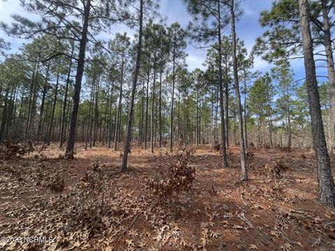 113 Brookfield Dr, Pinehurst, NC 28374 photo 11