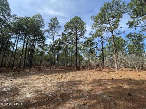 113 Brookfield Dr, Pinehurst, NC 28374 photo 12