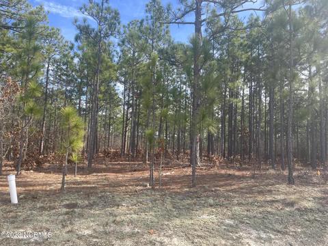 113 Brookfield Dr, Pinehurst, NC 28374 photo 9