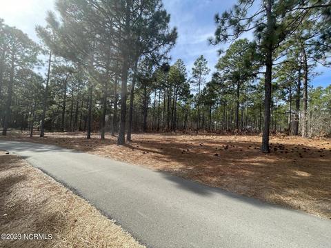 113 Brookfield Dr, Pinehurst, NC 28374 photo 17
