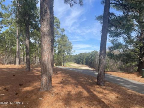 113 Brookfield Dr, Pinehurst, NC 28374 photo 16