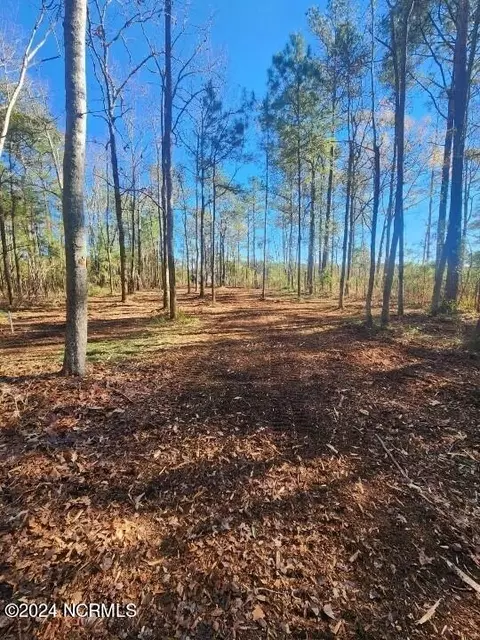 0 Davis Ln, Belhaven, NC 27810