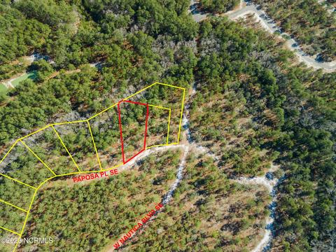 524 Paposa Pl SE, Bolivia, NC 28422