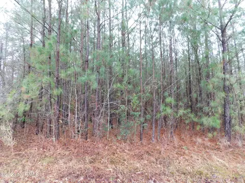 tbd Poplar Neck Rd, Tyner, NC 27980