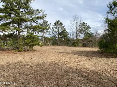 102 Jonathons, West End, NC 27376 photo 5