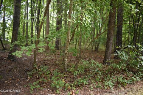 lot42 Cottonwood Dr, Blounts Creek, NC 27814